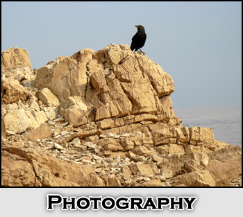 Photography