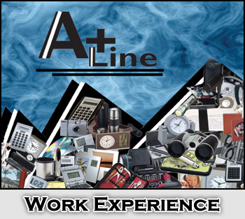 Work Experience